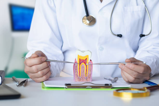 Best Emergency Dental Extractions in Shrewsbury, PA